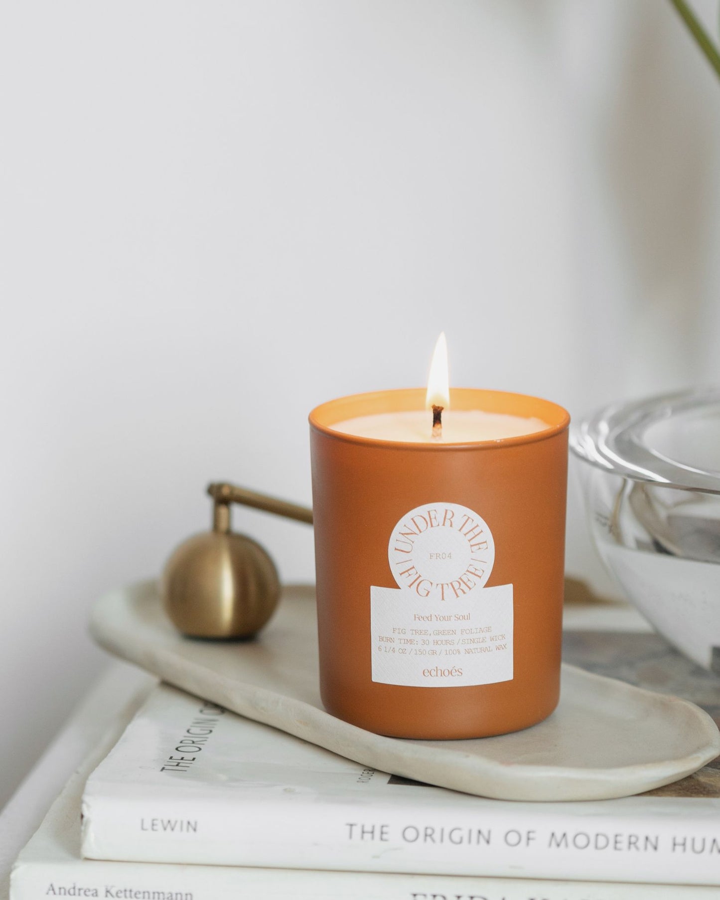 Echoes Natural Tumbler Candle Under The Fig Tree